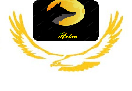 Айым Интернет-сауда алаңы. Arlan-online.kz