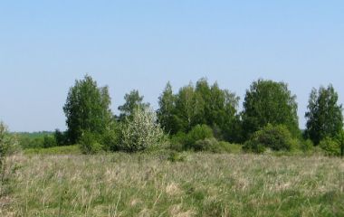 ш/қ "Арлан"  ауыл шаруашылық өнімдері 